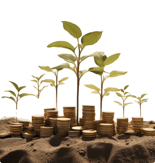 photorealistic-money-with-plant 1 (1) (1)